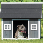 Pet Furniture Assembly, Dog House