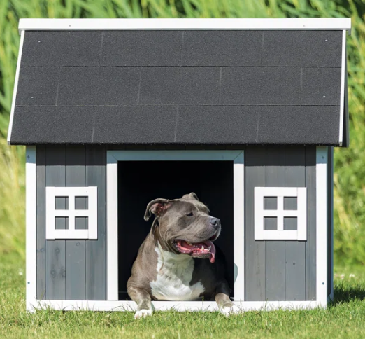 We Assemble Pet Furniture